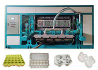 सीमेंस नियंत्रण के साथ पूरी तरह से स्वचालित रीसायकल पेपर अंडा ट्रे मशीन