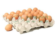 100kw अंडा ट्रे उत्पादन लाइन