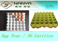 30 गुहाओं के साथ बायोडिग्रेडेबल पल्प मोल्डेड उत्पाद डिस्पोजेबल अंडा ट्रे