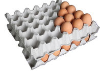 अनुकूलन मोल्डिंग पल्प कॉपर 30 गुहा अंडे ट्रे नए नए साँचे / मर जाता है