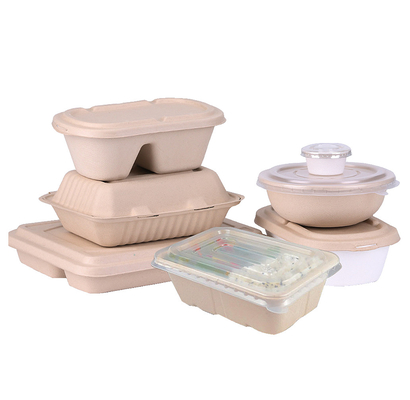 Biodegradable पूरी तरह से स्वचालित पल्प मोल्डिंग उपकरण, पीएलसी + टच स्क्रीन नियंत्रण