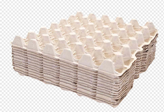 स्थिर स्वचालित पेपर पल्प ढाला अंडा ट्रे मशीन 5000pcs / एच