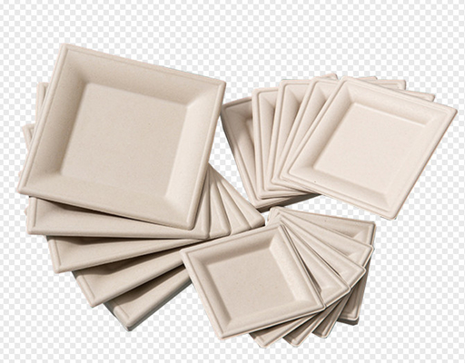 स्वचालित Biodegradable Bagasse पल्प मोल्डिंग उपकरण / प्लेट बनाने की मशीन