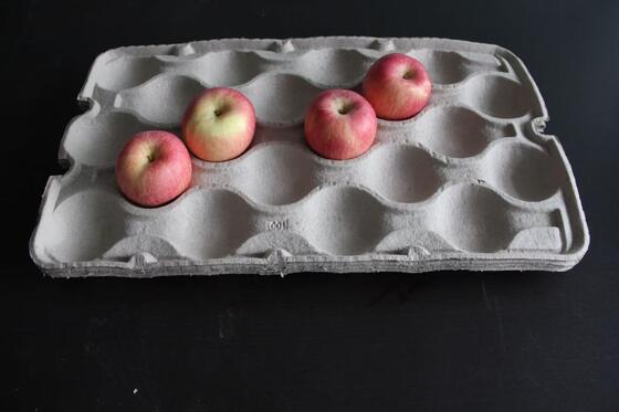 मध्यम क्षमता रीसायकल पेपर अंडा ट्रे बनाने की मशीन ड्रायर के साथ