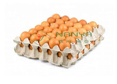 4000 Pcs / H के साथ पूर्ण स्वचालित मोल्डिंग पल्प एग ट्रे मशीन