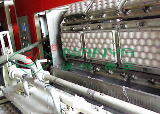 250kw फल ट्रे अंडे अंडे बनाने की मशीन वैक्यूम सक्शन 600m2