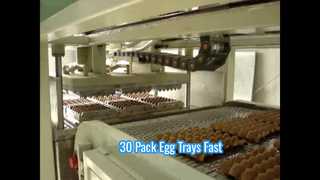 अंडे की ट्रे के लिए छोटी स्वचालित पल्प मोल्डिंग मशीन/छोटी अंडे की ट्रे मशीन/30 पैक अंडे की ट्रे मशीन