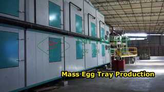 पूरी तरह से स्वचालित अंडे की ट्रे बनाने की मशीन/बड़े पैमाने पर उत्पादन अंडे की ट्रे/कार्टन बनाने की मशीन