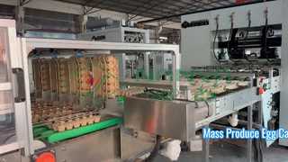 पूरी तरह से स्वचालित अंडा कार्टन बनाने की मशीन / बड़े पैमाने पर उत्पादन अंडे की ट्रे / कार्टन बनाने की मशीन