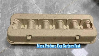 अंडा कार्टन/अंडा कार्टन मशीन मशीन/पल्प अंडा कार्टन के लिए पूरी तरह से स्वचालित पल्प मोल्डिंग मशीन